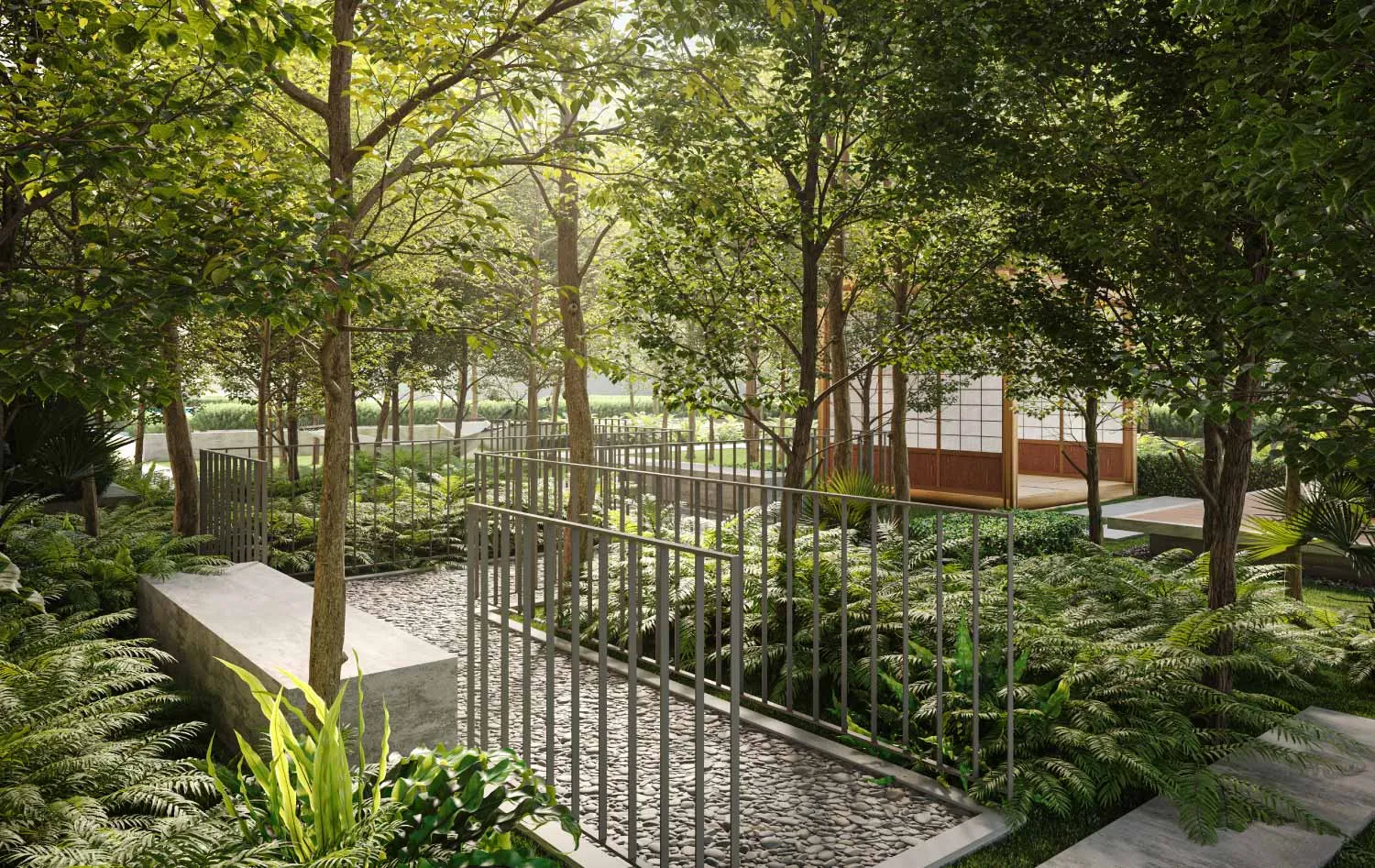 Forest walk pathway